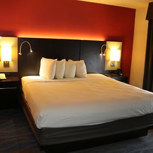 Standard One-Bedroom Apartment